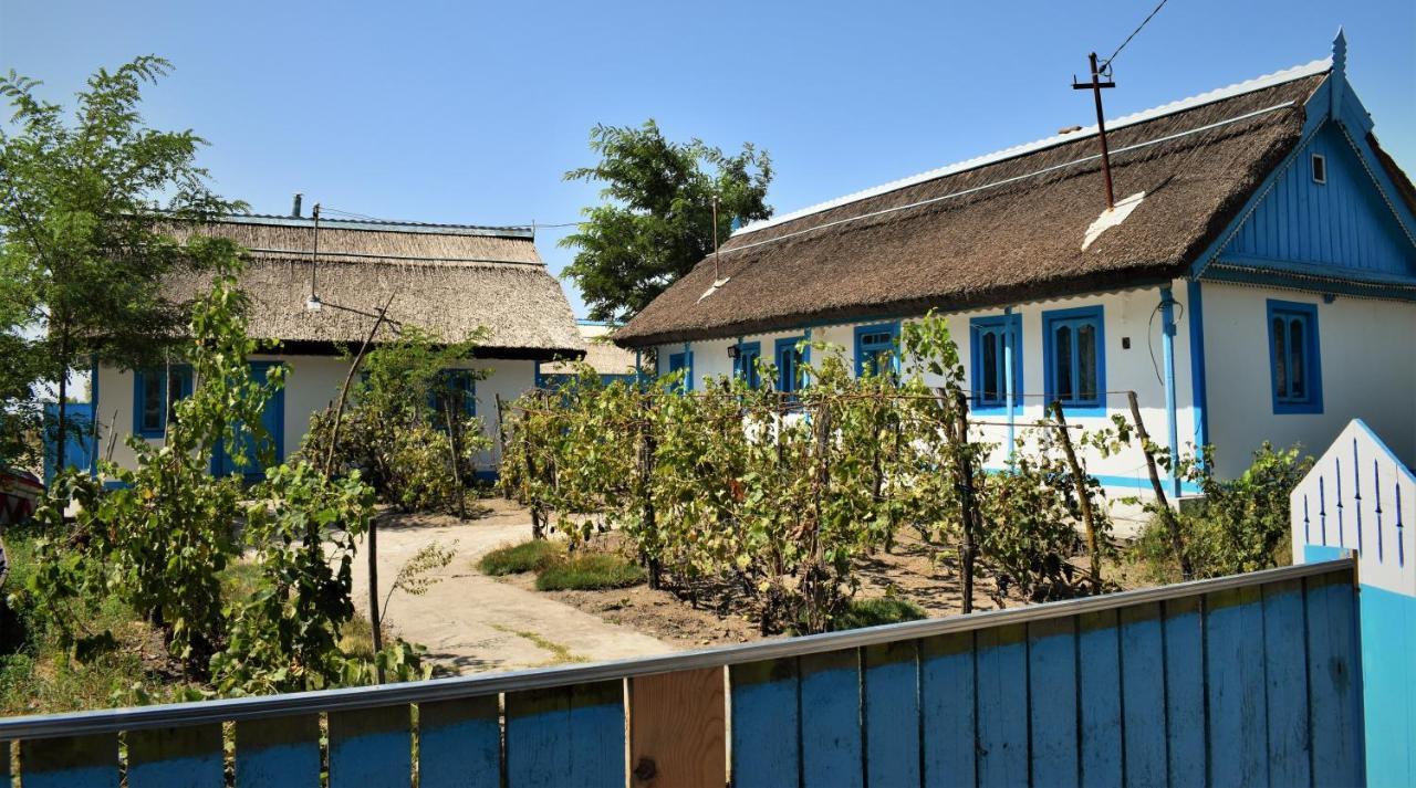 Casa Calin Crisan (Tulcea) Exterior foto