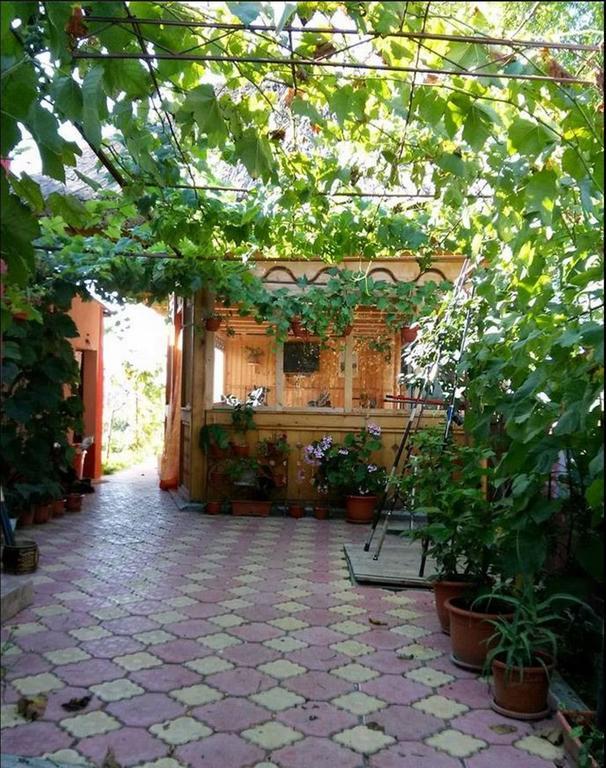 Casa Calin Crisan (Tulcea) Exterior foto